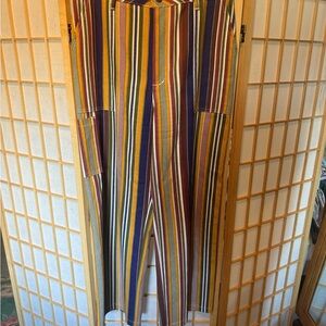 Studio Citizen Multicolor Striped Carpenter Pants